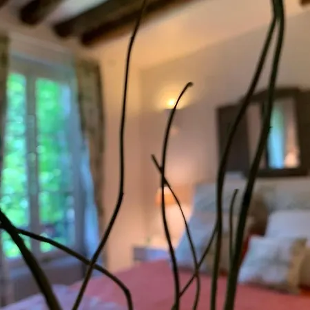 Charming Latin Quarter Courtyard Duplex For Four Lägenhet *